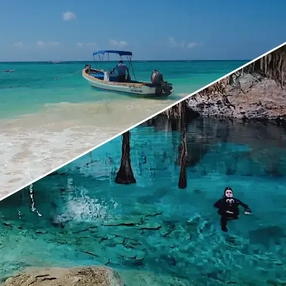Buceo en Cozumel y los cenotes de la riviera maya México